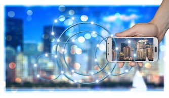 米兰体育下载-中国篮球职业俱乐部财务风险管理策略研究，篮球俱乐部运营情况