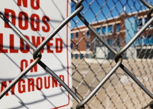 米兰全站APP正式版下载-青少年安全教育模式，青少年安全教育模式是什么